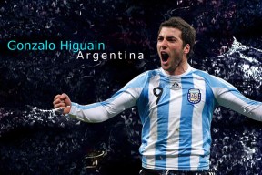 开云在线直播-“埃尔斯·霍斯特：南非羚羊队的守护神”